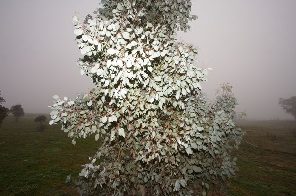 © Sari Sutton - Image from the Stand Here photography project