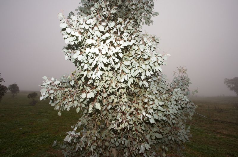 © Sari Sutton - Image from the Stand Here photography project