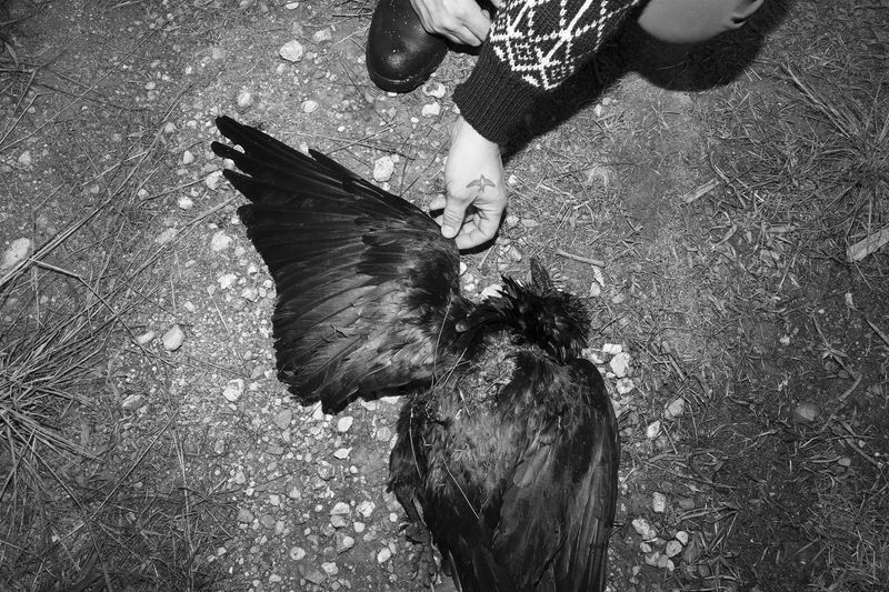 © Sari Sutton - Image from the Stand Here photography project
