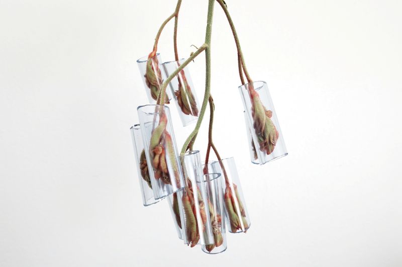 © Sari Sutton - Image from the Stand Here photography project