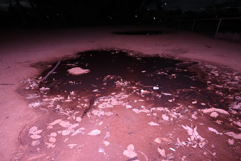 © Sari Sutton - Image from the Stand Here photography project