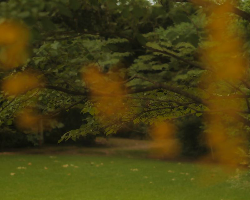 © Houston Cofield - Image from the What Mo(u)rning Feels Like photography project