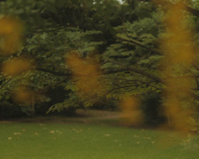 © Houston Cofield - Image from the What Mo(u)rning Feels Like photography project