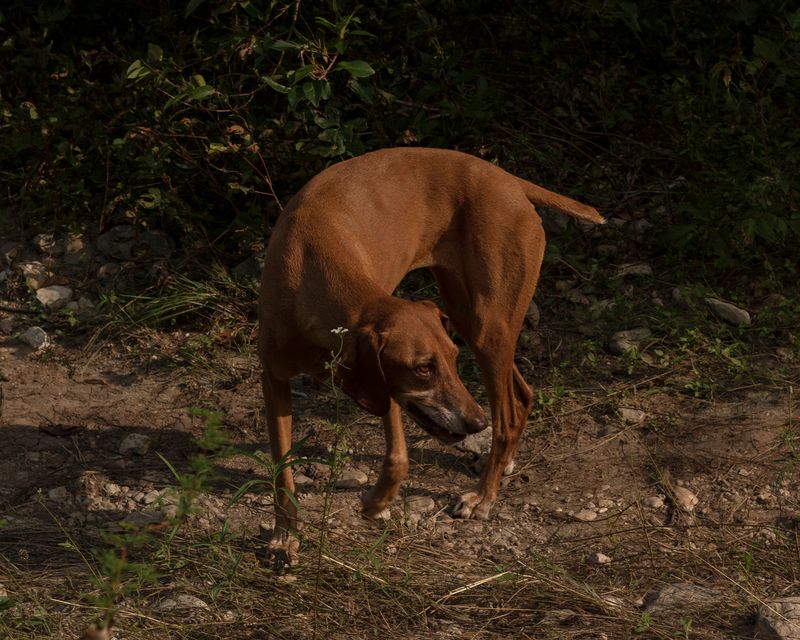 © Houston Cofield - Image from the What Mo(u)rning Feels Like photography project