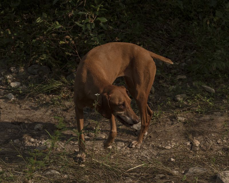 © Houston Cofield - Image from the What Mo(u)rning Feels Like photography project