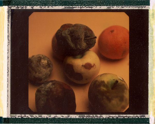 © Houston Cofield - Image from the What Mo(u)rning Feels Like photography project