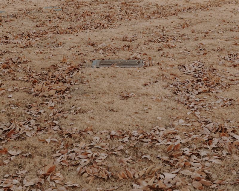 © Houston Cofield - Image from the What Mo(u)rning Feels Like photography project