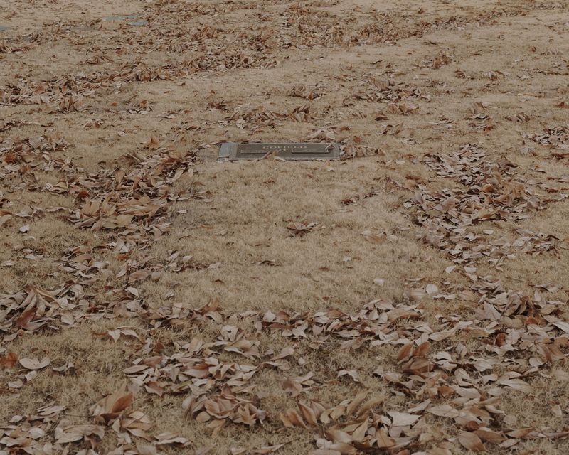 © Houston Cofield - Image from the What Mo(u)rning Feels Like photography project