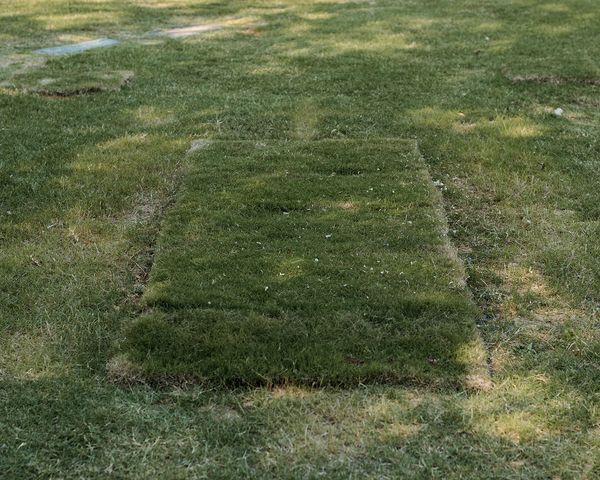 © Houston Cofield - Image from the What Mo(u)rning Feels Like photography project