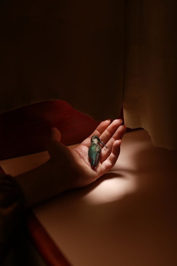 © Ana Hop - Image from the Staying sober photography project