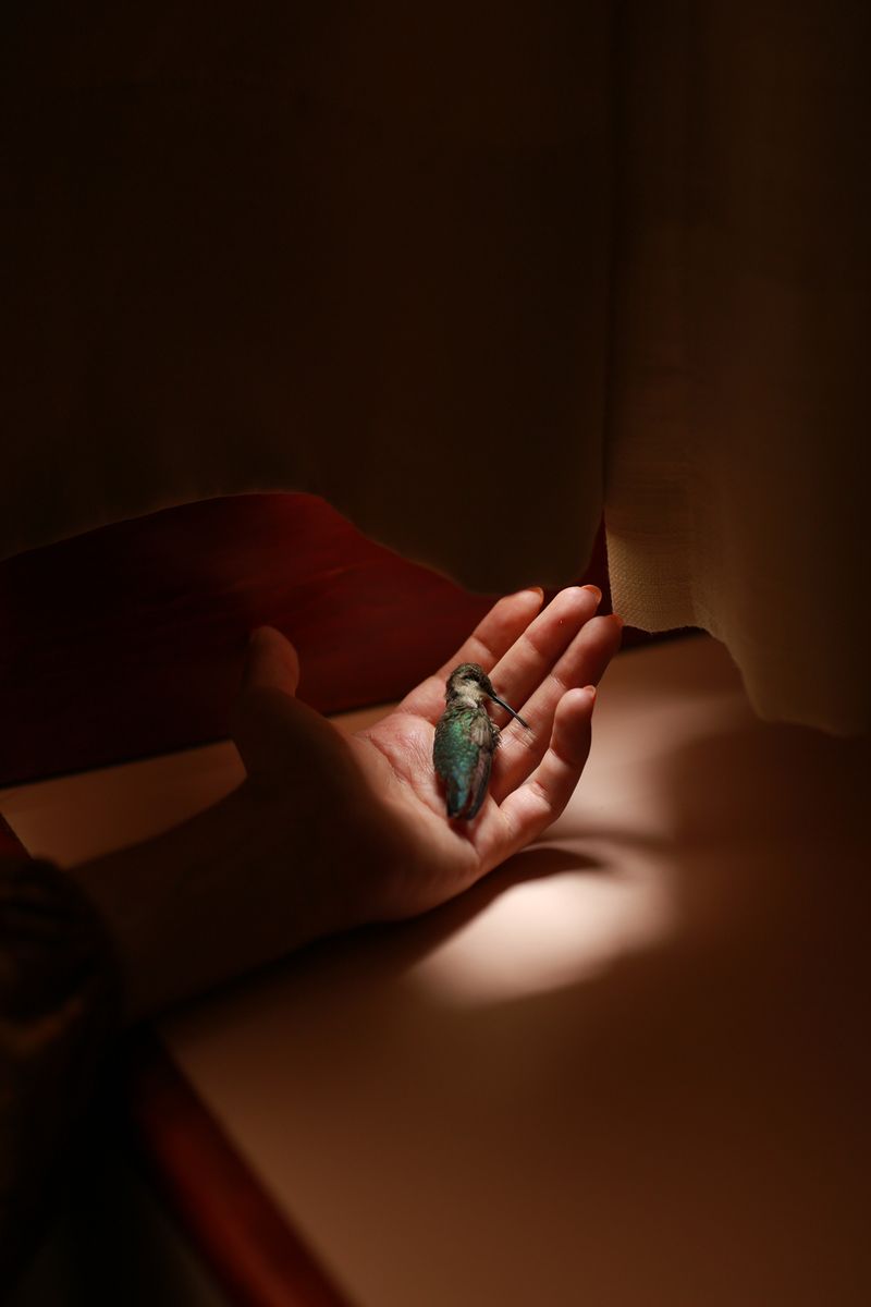 © Ana Hop - Image from the Staying sober photography project