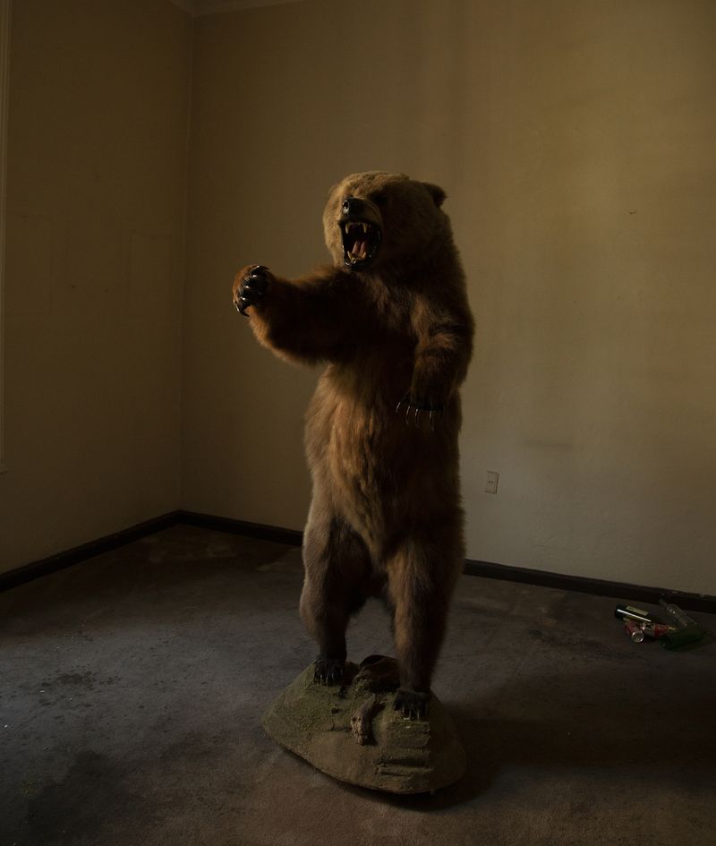 © Ana Hop - Image from the Staying sober photography project