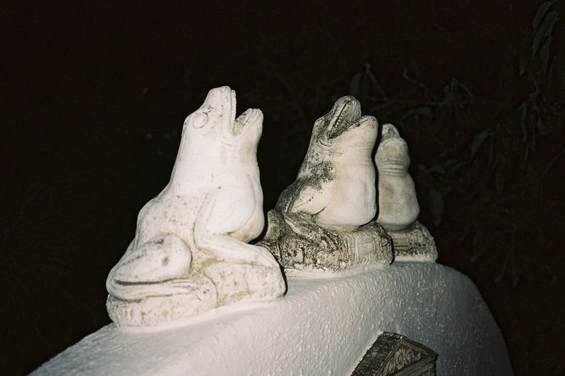 © Alexandre Morvan - Image from the This is Where I Long To Be (la isla bonita) photography project
