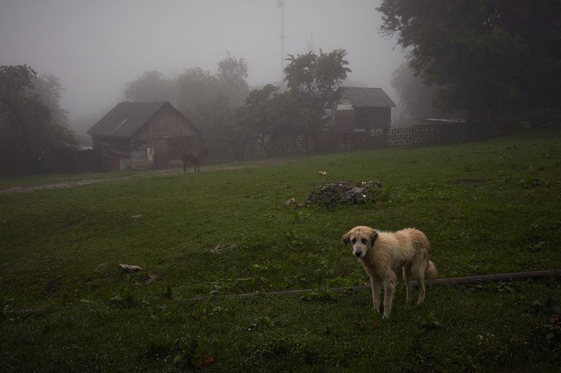 © Ksenia Kuleshova - Abkhazia, Upper Eshera, 22/07/2019. In the Upper Eshera.