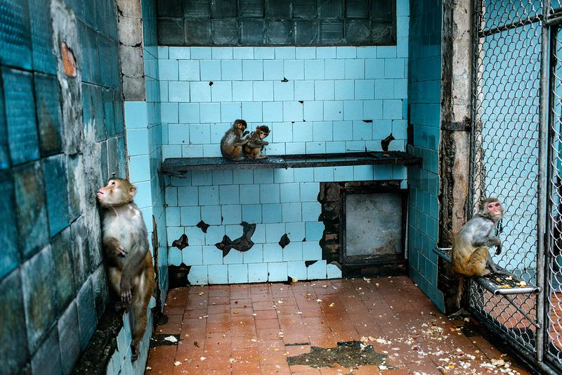 © Ksenia Kuleshova - Image from the ABKHAZIA photography project