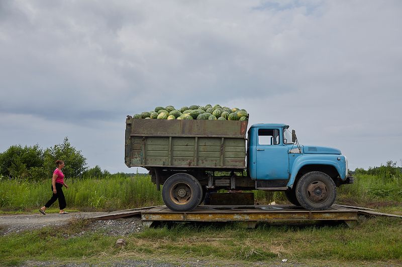 © Ksenia Kuleshova - Abkhazia, Adzyubzha, 19/07/2019. Watermelons loading.