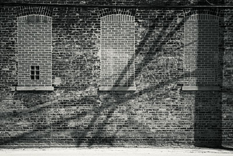 © Derek Ronald - Image from the The Oscillation photography project