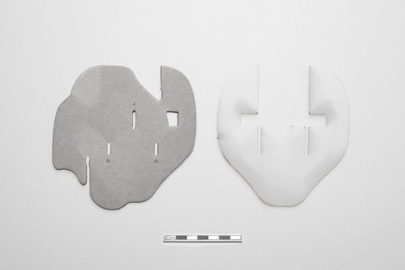 © Giovanna Petrocchi - Mammoth bones