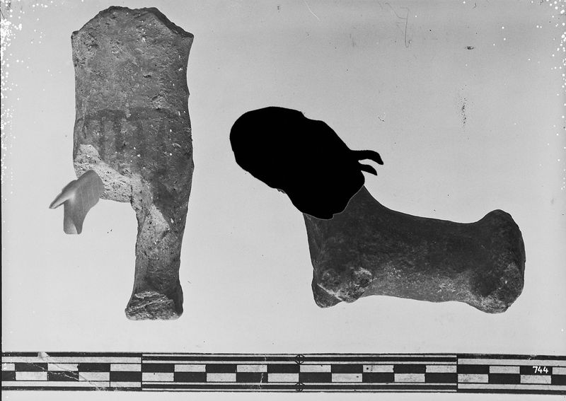 © Giovanna Petrocchi - Index