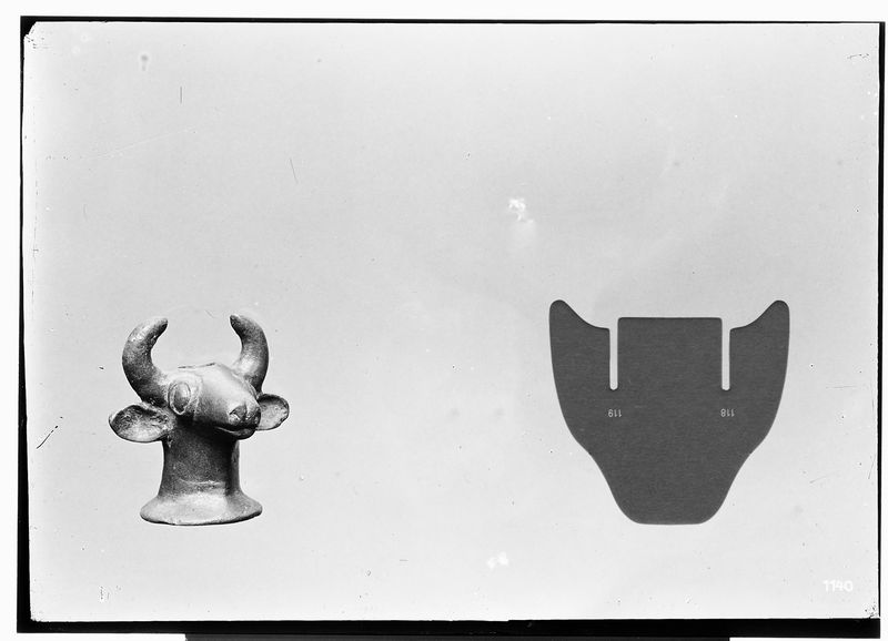 © Giovanna Petrocchi - Hornes