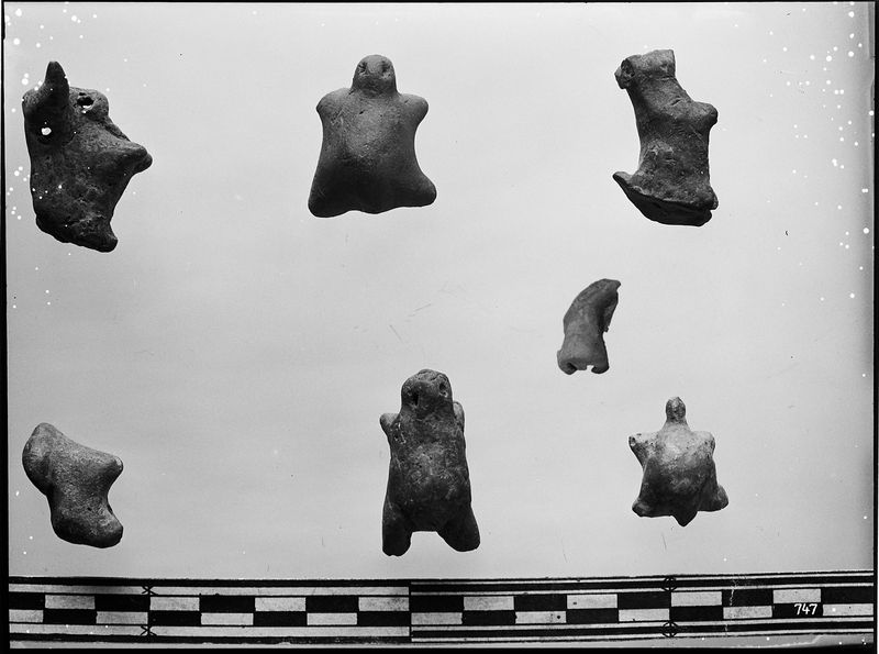 © Giovanna Petrocchi - Intruder