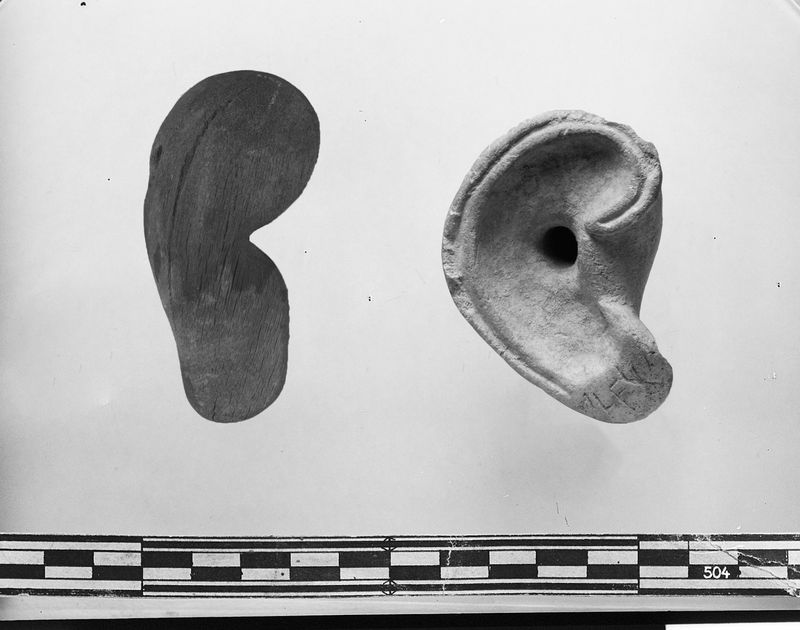 © Giovanna Petrocchi - Ears?