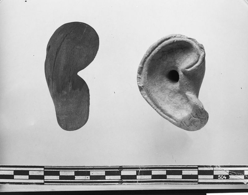 © Giovanna Petrocchi - Ears?