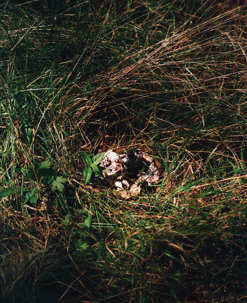 © Madeleine Morlet - Image from the Young Americans photography project