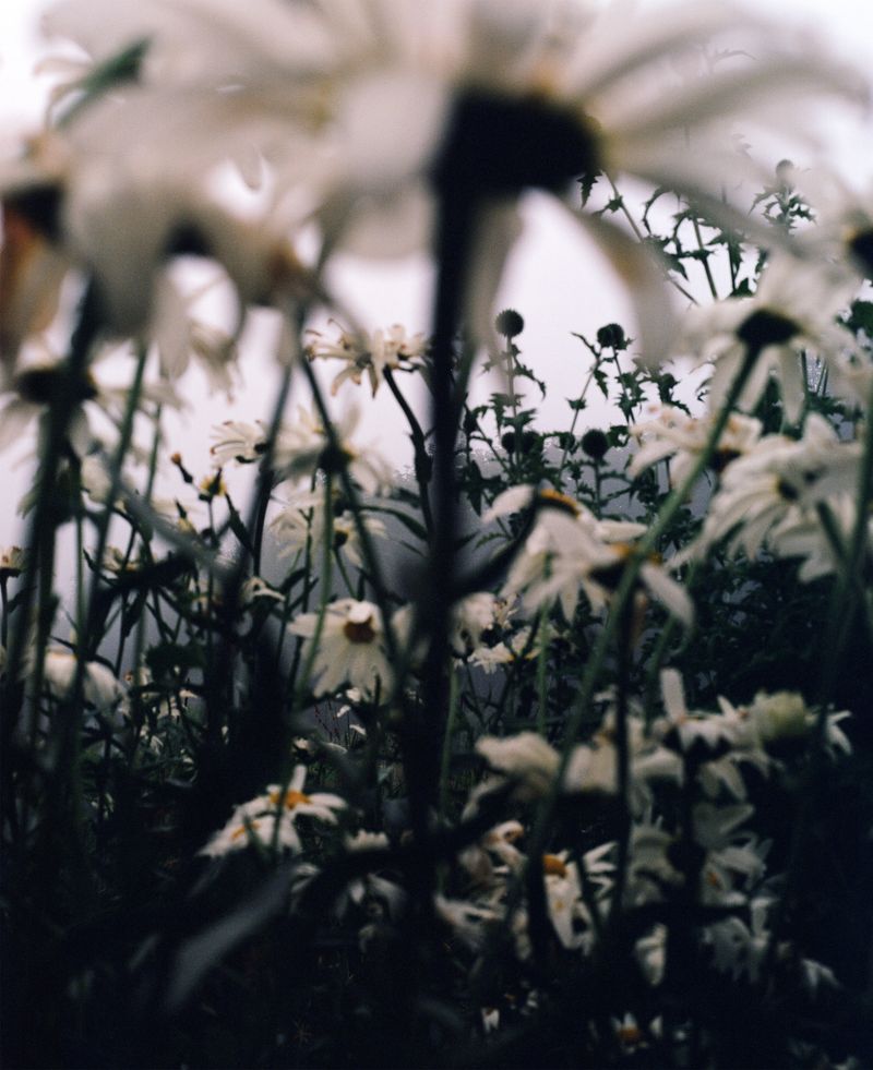 © Madeleine Morlet - Image from the Young Americans photography project