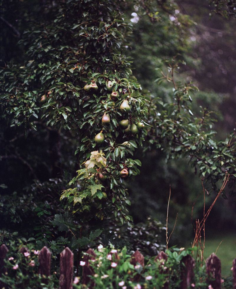 © Madeleine Morlet - Image from the Young Americans photography project