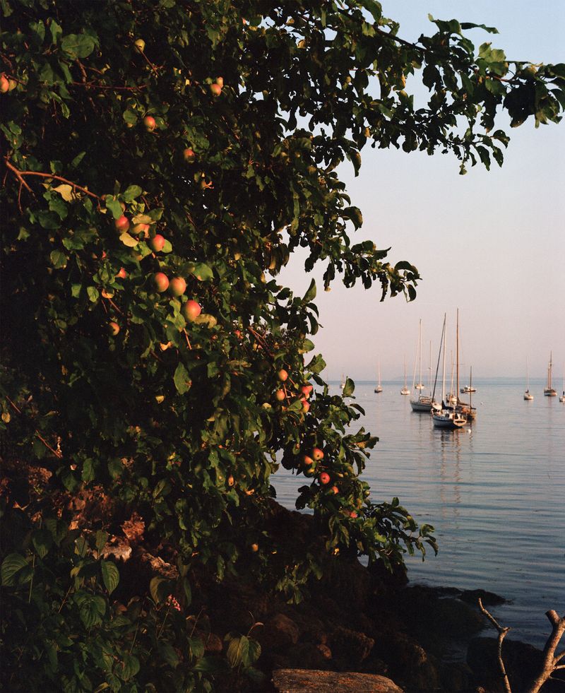© Madeleine Morlet - Image from the Young Americans photography project