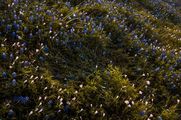 © Anna Droddy - Image from the The America That I Know photography project