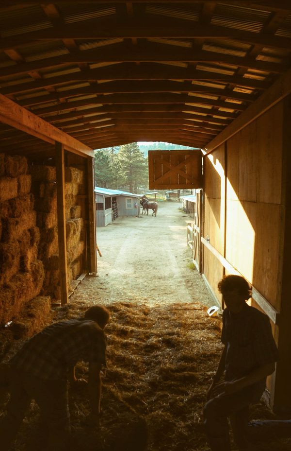 © Anna Droddy - Image from the Barn Sour photography project