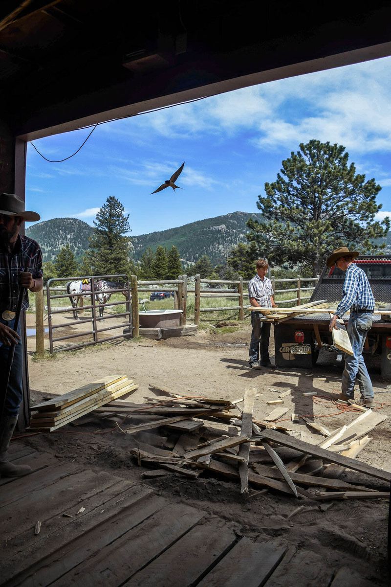 © Anna Droddy - Image from the Barn Sour photography project