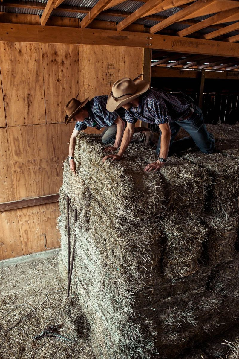 © Anna Droddy - Image from the Barn Sour photography project