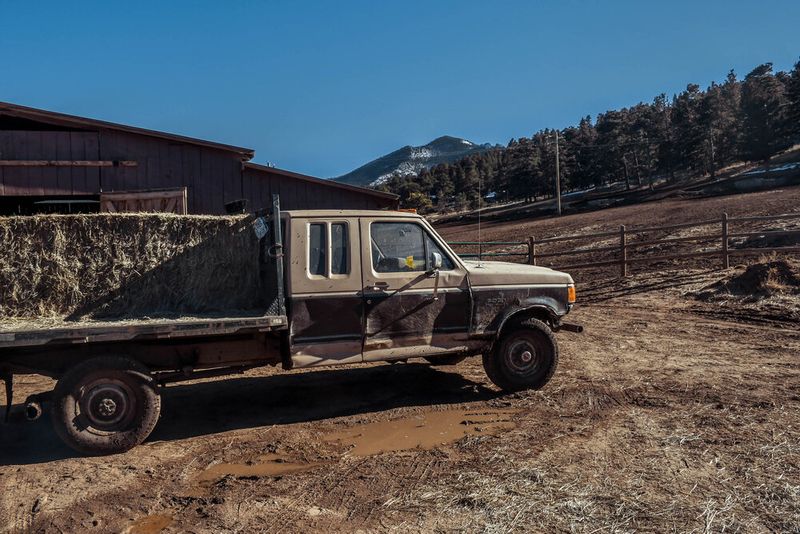 © Anna Droddy - Image from the Barn Sour photography project