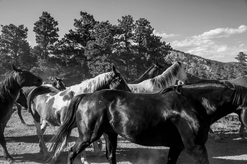 © Anna Droddy - Image from the Barn Sour photography project