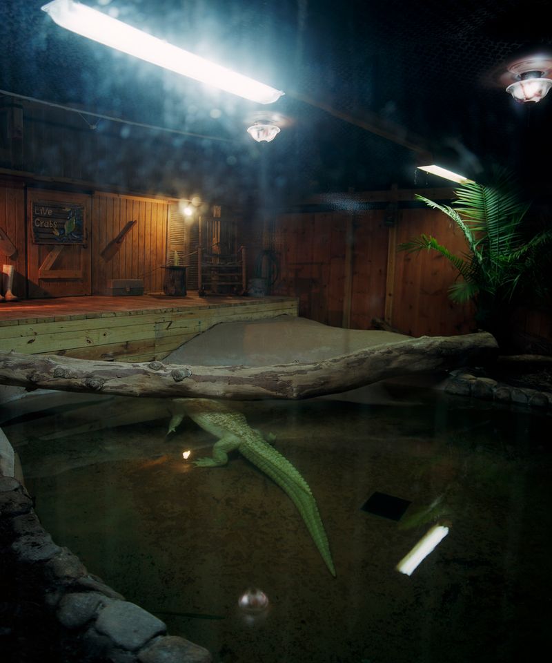 © Rachel Louise Brown - Image from the Simulations photography project