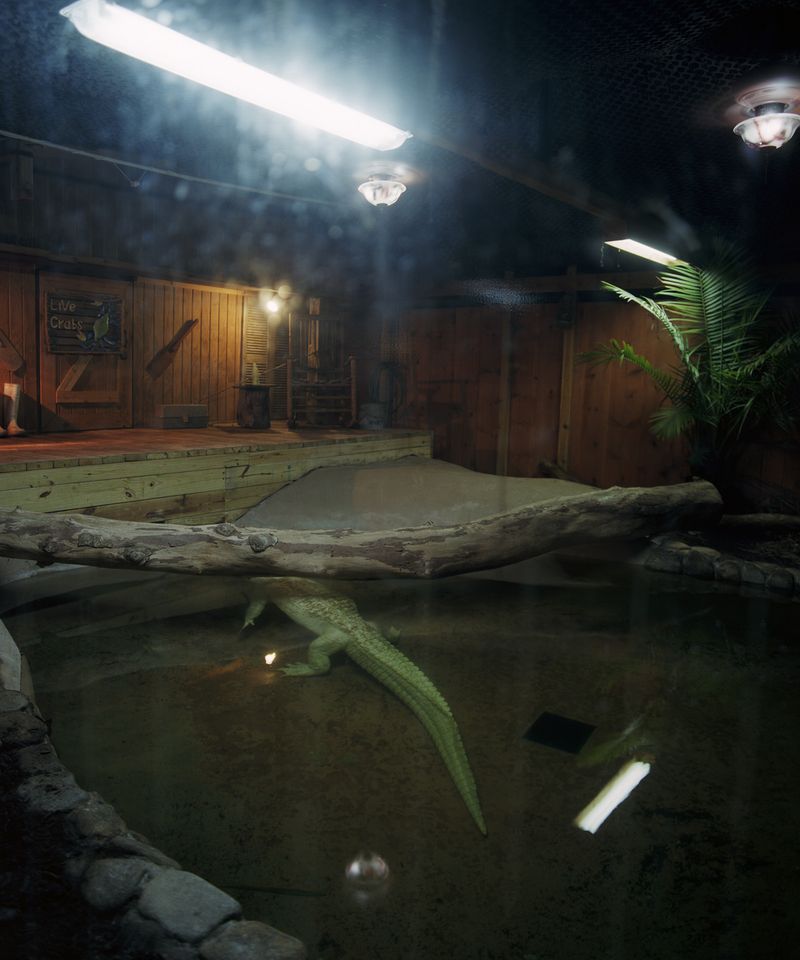 © Rachel Louise Brown - Image from the Simulations photography project