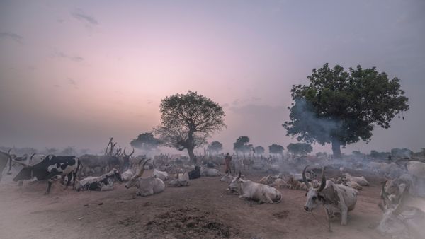 © Maricruz Sainz de Aja - Image from the "Resilience Unseen" photography project