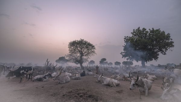 © Maricruz Sainz de Aja - Image from the "Resilience Unseen" photography project