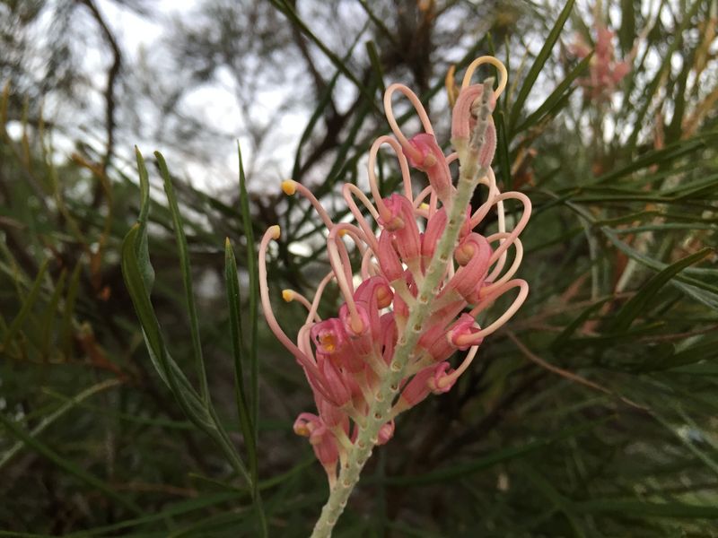 © Jenny Fraser - Image from the womankind photography project