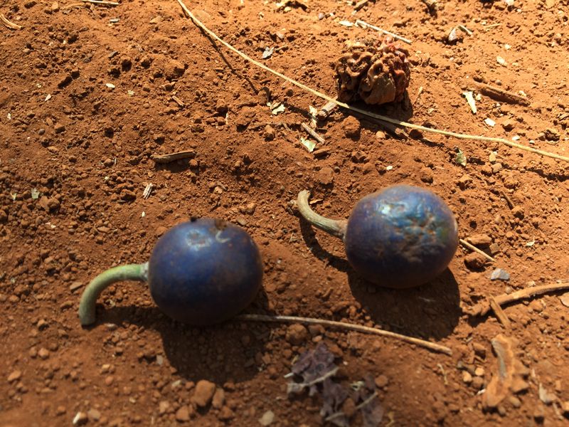 © Jenny Fraser - Image from the womankind photography project