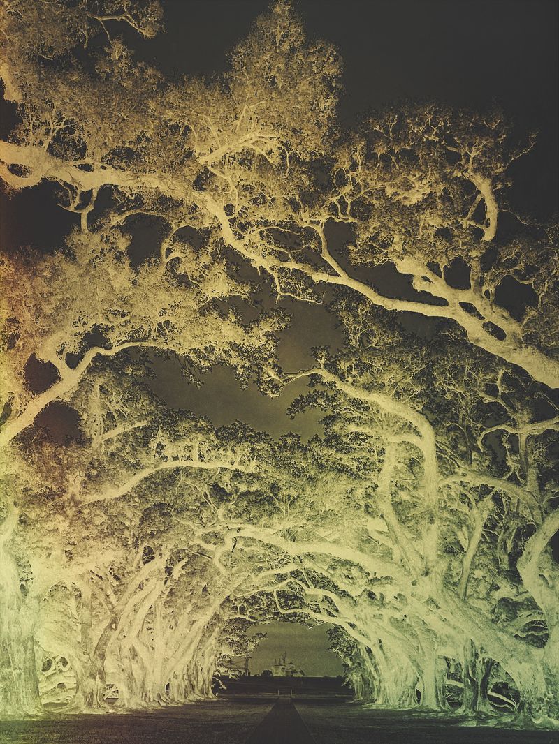 © Erika Schmidt - The House at the End of the Road, Louisiana, 2025
