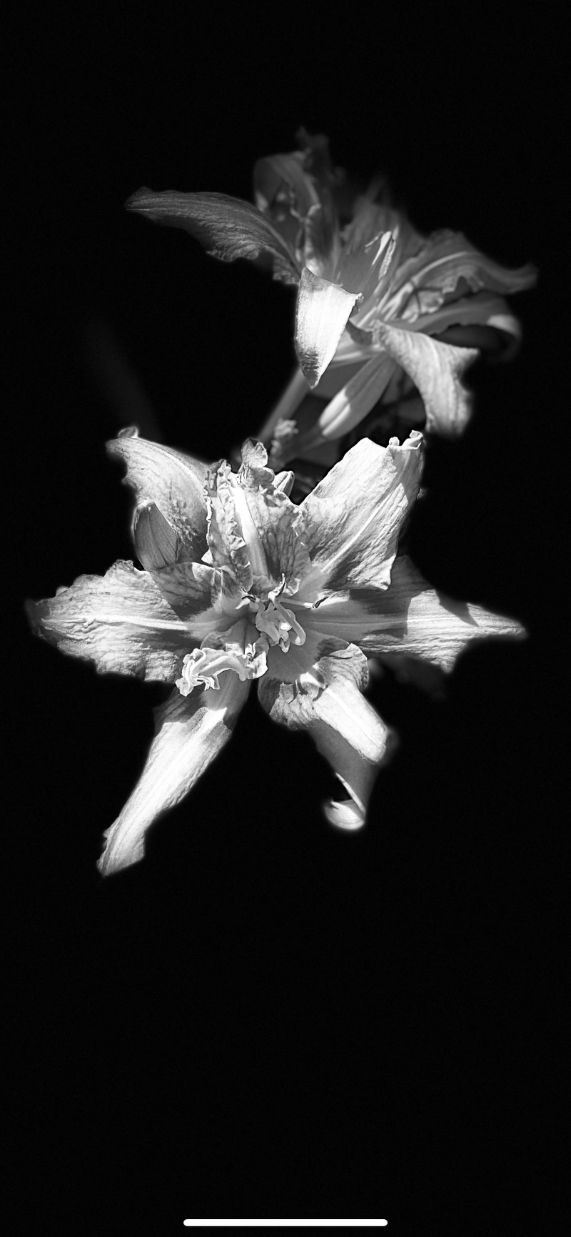 © elishao - Inverse