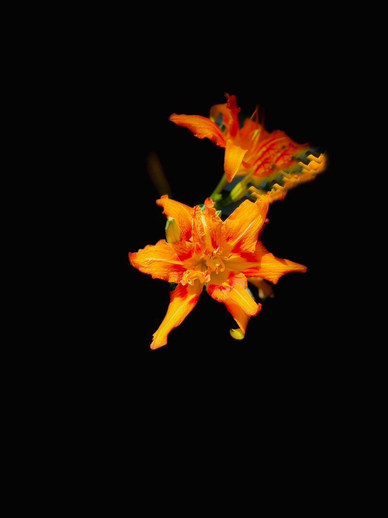 © elishao - Punctuated