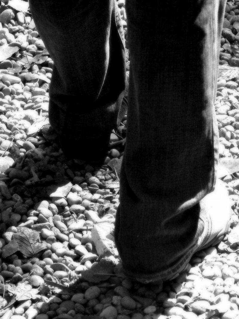 © elishao - Stillness