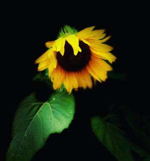 The (Extra)Ordinary of an (Extra)Ordinary Life