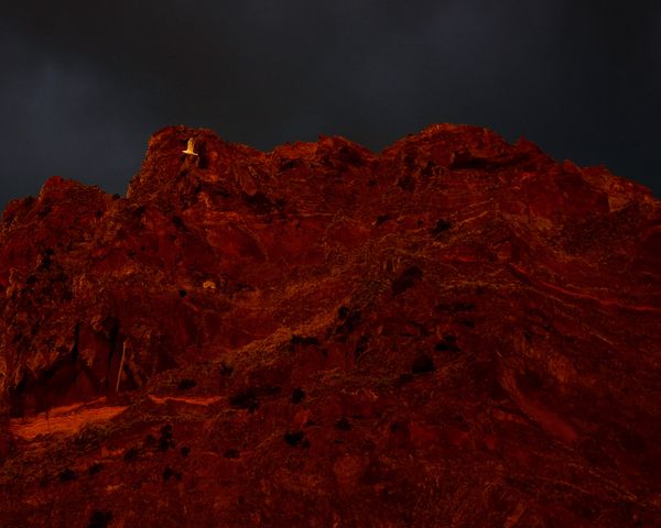 © polly hummel - Image from the Küss den Frosch photography project