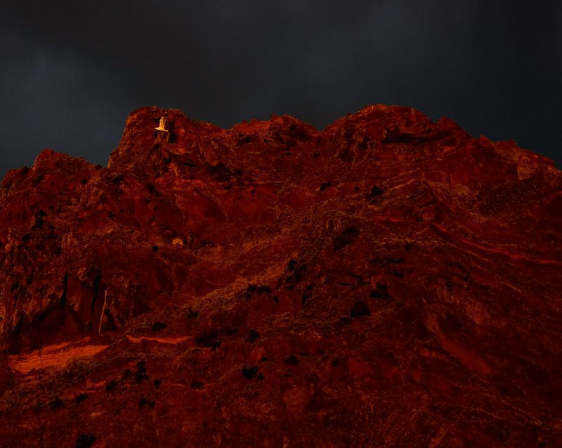 © polly hummel - Image from the Küss den Frosch photography project